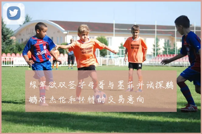 绿军欲双签字母哥与墨菲并试探鹈鹕对杰伦和怀特的交易意向