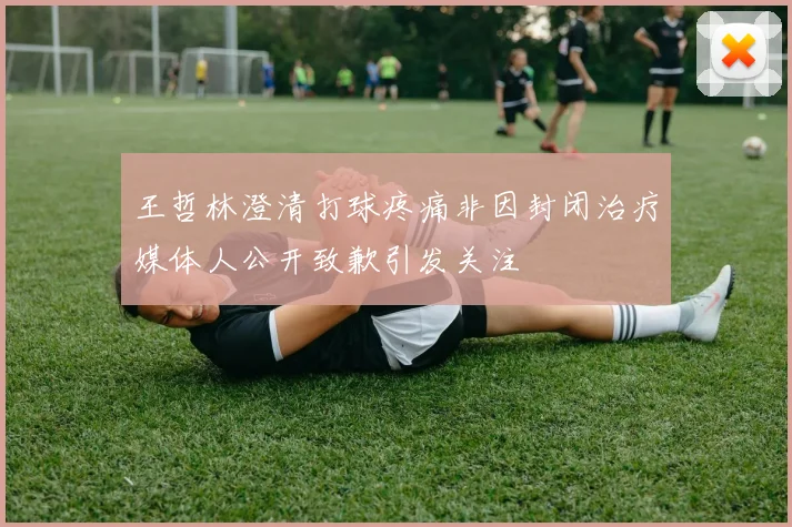 王哲林澄清打球疼痛非因封闭治疗媒体人公开致歉引发关注