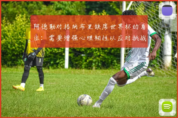 阿德勒对格纳布里缺席世界杯的看法：需要增强心理韧性以应对挑战