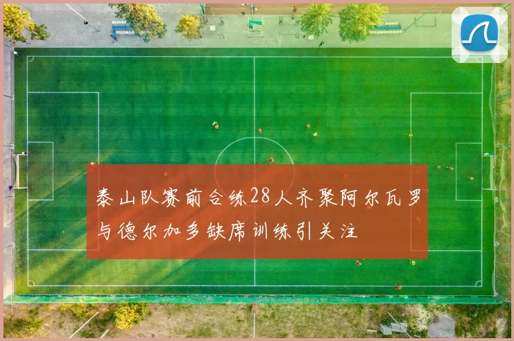 泰山队赛前合练28人齐聚阿尔瓦罗与德尔加多缺席训练引关注